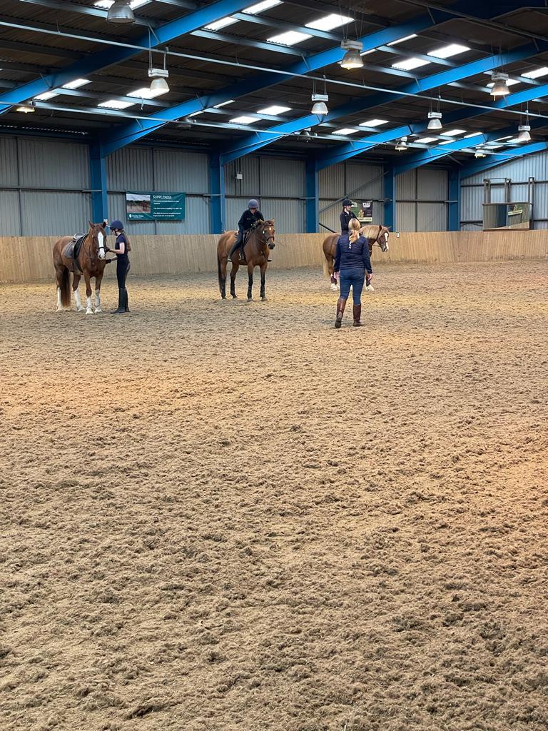 3 horse and 4 students equine course picture.