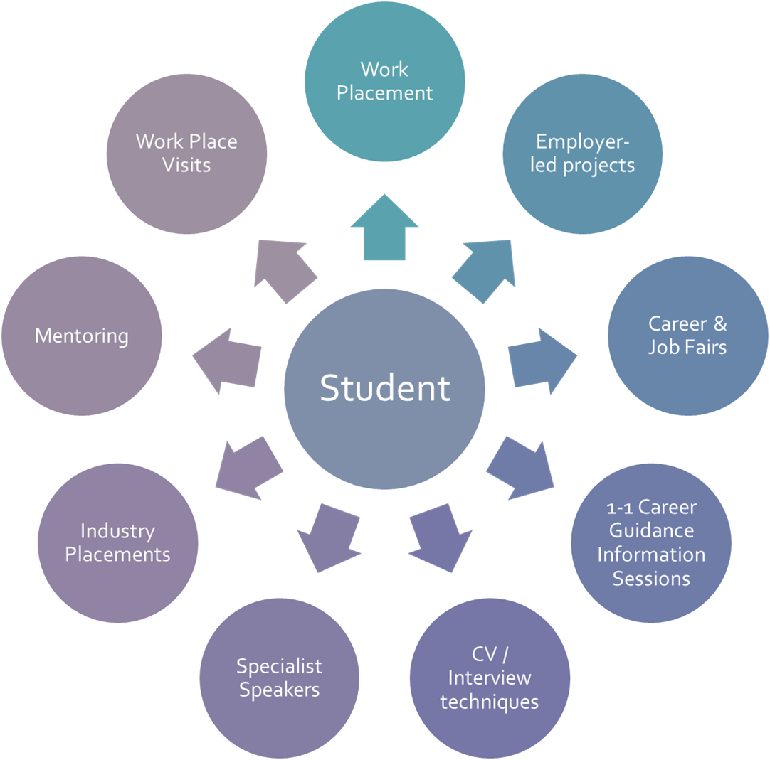 Career Programme student options