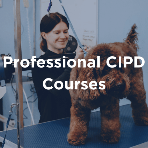 Professional CIPD Courses