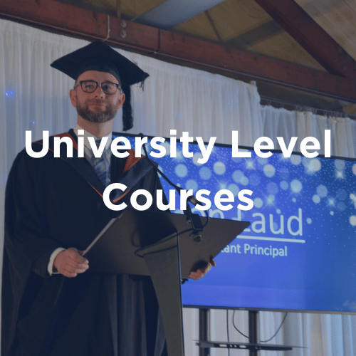 University Level Courses