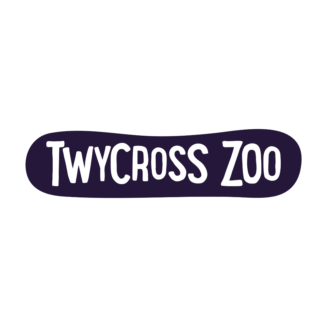 Twycross Zoo